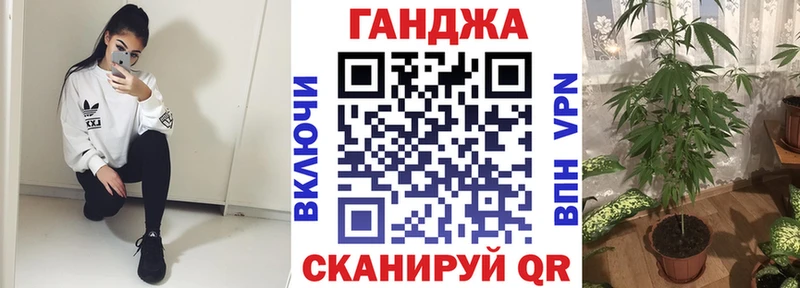 Купить где  Опочка  Канабис сатива 